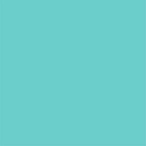 iMBAPrice Teal Poly Mailers 7.5 x 10.5 Inch #2, 200-Pack - Image 4