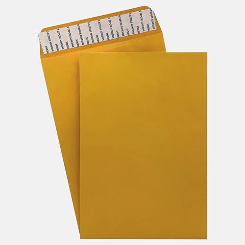 250 Cashier Depot - 6" x 9" Catalog Envelopes, Open End, Sturdy 28lb Kraft, Peel & Seal, Professional Mailing & Document Storage, 250 Count by CashierDepot