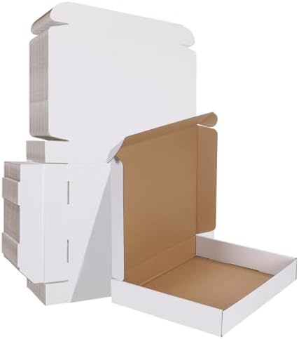 HORLIMER 12x10x2 inches Shipping Boxes Set of 25, White Corrugated Cardboard Box Literature Mailer by HORLIMER