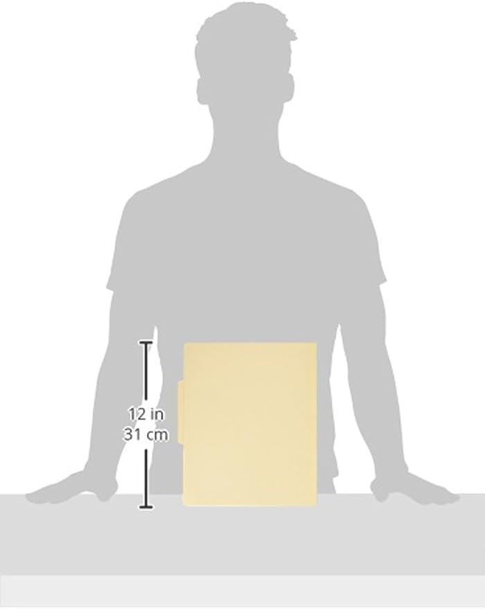 Business Source Classification Folder, Manila (17271) - Image 3