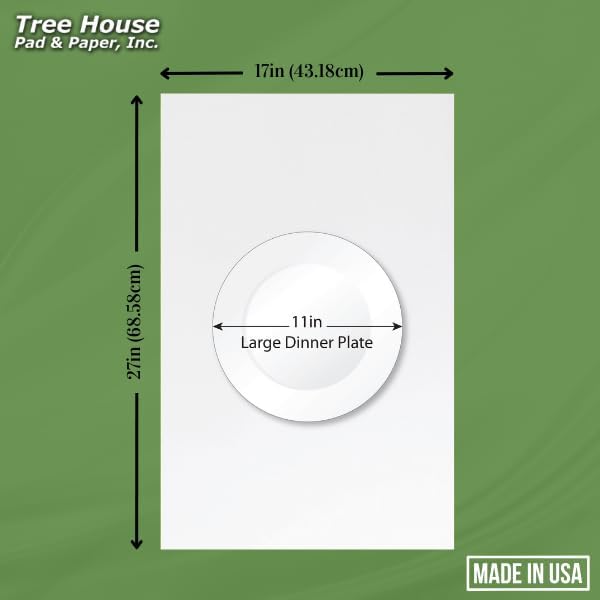 Tree House Packing Paper for Moving – 540 Newsprint Packing Paper Sheets – 27” x 17” Paper for Packing Dishes, Shipping, and Moving Supplies – Recyclable Movers’ Paper – Made in USA (Pack of 3) - Image 6
