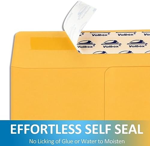 ValBox 6x9 Self Seal Catalog Security Envelopes 250 Count Small Brown Kraft Envelopes for Mailing, Storage and Organizing (Pack of 2) - Image 3
