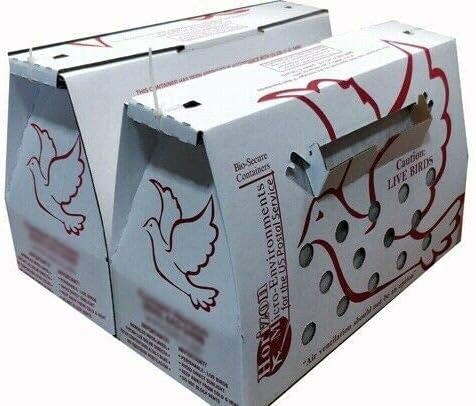 'Vented' Singles Live Chicken Shipping Boxes (70 pack) - Image 6