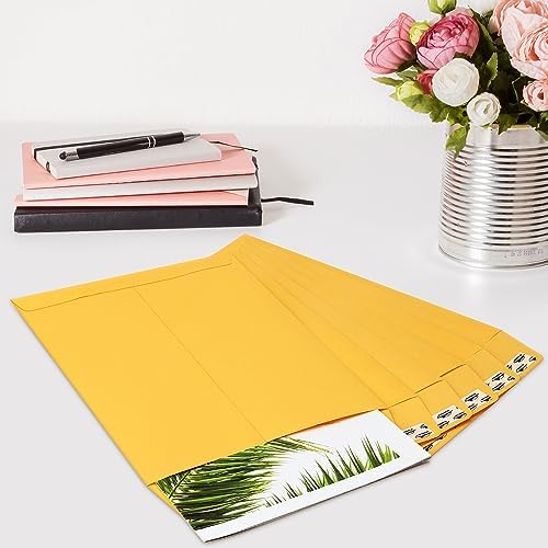 ValBox 9x12 Self Seal Security Catalog Envelopes 250 Packs Brown Kraft Envelopes with Peel and Seal Flap for Mailing, Organizing and Storage - Image 6