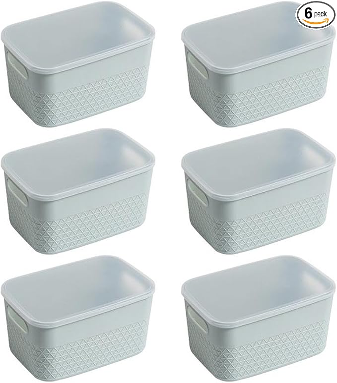 Lidded Storage Bin Organizer | Storage Organizing Container, 4 Liter, Set of 6, Mint by HANAMYA