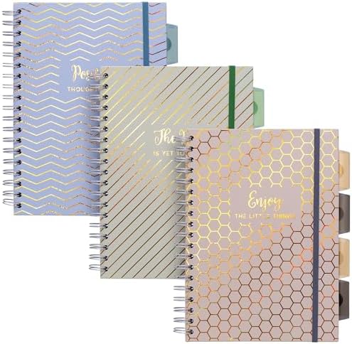 Pukka Pad Haze B5 Notebook – Pack of 3 Wirebound Notebooks with 5 Repositionable Dividers with Storage Pockets and Tabs for Organisation and Personalisation – 200 Pages, 100 Sheets of 80GSM Paper by PukkaPad