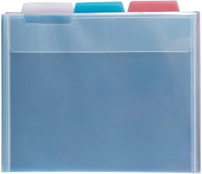 JAM PAPER Plastic File Folders - Letter Size - 9 x 11 1/2 - Assorted Colors - 6/Pack by JAMPaper