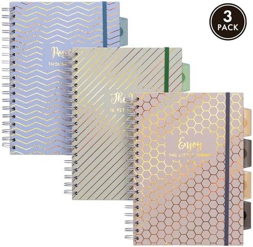 Pukka Pad Haze B5 Notebook – Pack of 3 Wirebound Notebooks with 5 Repositionable Dividers with Storage Pockets and Tabs for Organisation and Personalisation – 200 Pages, 100 Sheets of 80GSM Paper - Image 2