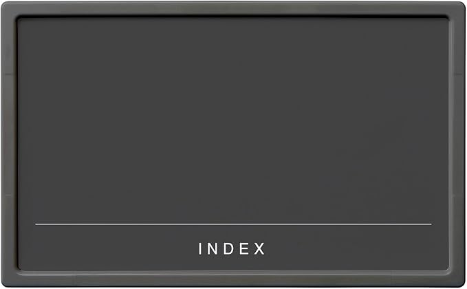 Like-it Storage Case Label Holder, M, 2 Pieces, Width 3.8 x Depth 0.2 x Height 2.3 inches (9.6 x 0.5 x 5.9 cm), Black, Made in Japan by Like-it
