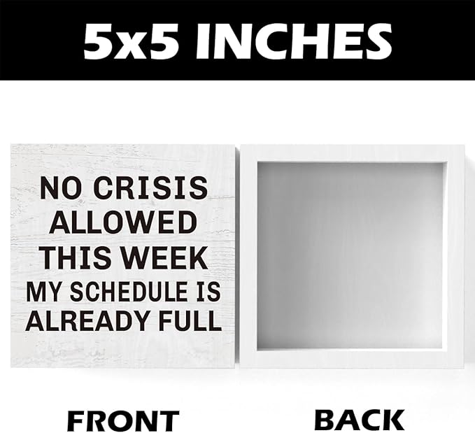 Funny Bosses Day Gifts for Women Men, Boss Gifts for Women Manager Supervisor Leader Lady Famale Male, Funny Office Desk Decor 5 x 5 inch