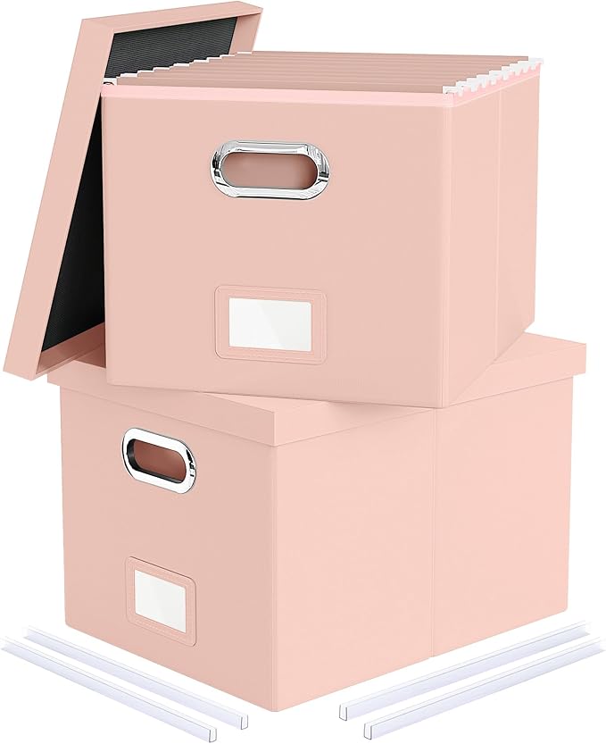 2 Pack File Storage Organizer, Portable File Box with Lid, Fit for Letter/Legal File Folder Storage, Cream-pink (Leather) Box by Oterri