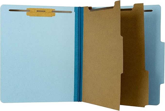 The File King Classification Folders 2 Dividers Letter Size - Pale Blue, 10 Pack | Pressboard Classification Folder | 2-Inch Expansion | Made in USA | Medical File Folders with Dividers and Prongs by TheFileKing