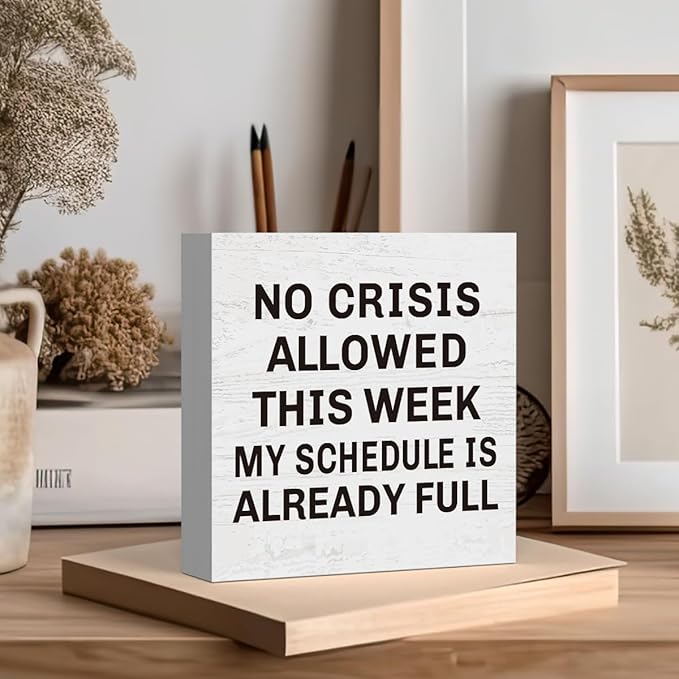 Funny Bosses Day Gifts for Women Men, Boss Gifts for Women Manager Supervisor Leader Lady Famale Male, Funny Office Desk Decor 5 x 5 inch