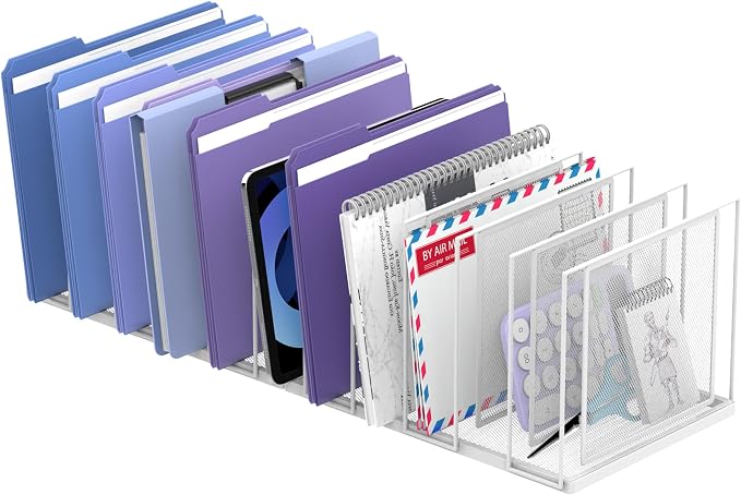 File Organizer for Desk, 11-Section Vertical File Sorter, Paper Holder Organizer Standing Metal File Folder for Office Home Classroom, White by JMHUD