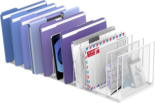 File Organizer for Desk, 11-Section Vertical File Sorter, Paper Holder Organizer Standing Metal File Folder for Office Home Classroom, White by JMHUD