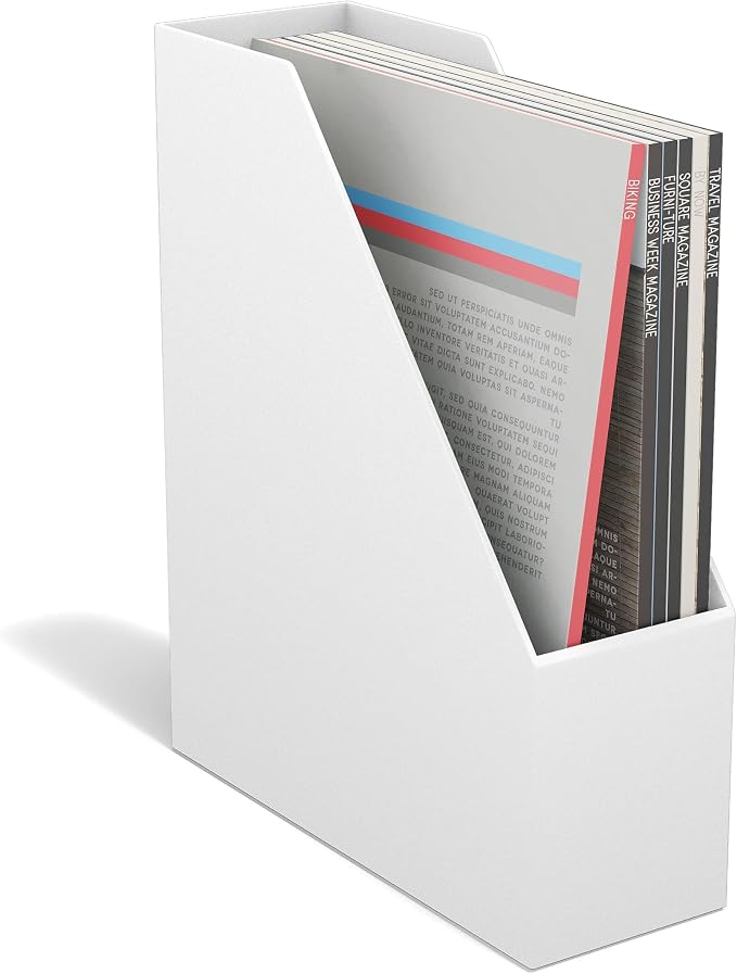 TRU RED Plastic Magazine File, White – Vertical Desktop Organizer for Magazines, Folders & Office Documents by TRURED