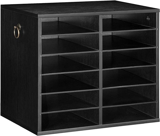 HOOBRO Literature Organizers, 12 Compartments Office Mailbox with Adjustable Shelves, Wood Countertop Literature Sorter for Office, Home, Classroom, Mailrooms Organization Black BK12WF01 by HOOBRO