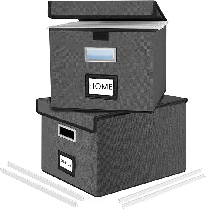 File Organizer Box with Lids, Collapsible File Folder Organizer | File Box with Plastic Slides for Document, Filing Bin for Letter Size Hanging File Folders (2 Pack, Dark Gray) by Huolewa