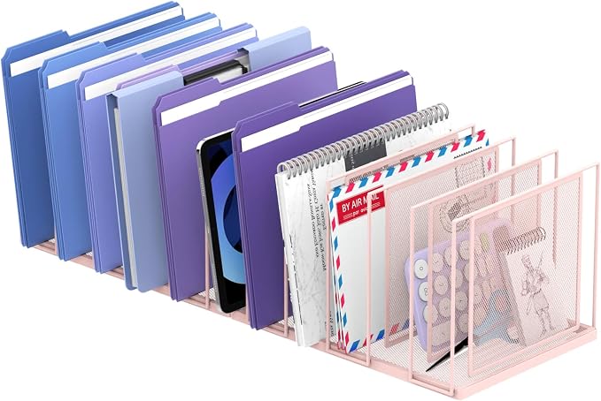 File Organizer for Desk, 11-Section Vertical File Sorter, Paper Holder Organizer Standing Metal File Folder for Office Home Classroom, Pink by JMHUD