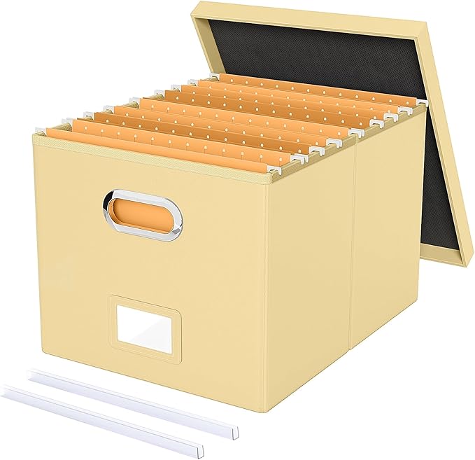 Storage File Box(New) (Cream-yellow(Leather), 1 pack), AM03118 by Oterri
