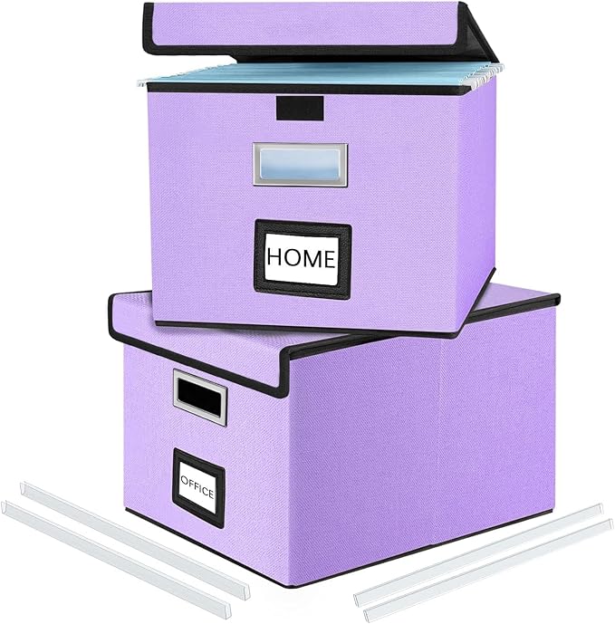 File Organizer Box with Lids, Collapsible File Folder Organizer | File Box with Plastic Slides for Document, Filing Bin for Letter Size Hanging File Folders (2 Pack, Dark Lavender) by Huolewa
