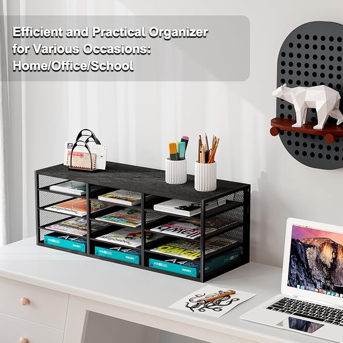 Mail Sorter Adjustable Countertop Heavy Duty Literature Organizer Student Mailbox for Classroom Desktop Bill Paper Holder Rack for Office Home School, 12 Compartments, Black - Image 3