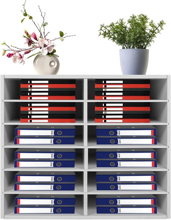 Literature Organizer Sorter, 12 Slots Adjustable File Sorter Mail Organizer | Paper Sorter Organizer, Open Design Paper Storage Mailbox for Office School Classroom, White by DreamRcoach
