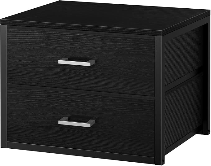 BOLUO Stackable Storage Drawers Closet Organizers and Storage Fabric 2 Drawer Dresser for Bedroom Office Black Modern by BOLUO