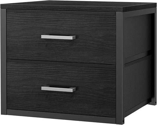 BOLUO Stackable Storage Drawers Closet Organizers and Storage Fabric Black 2 Drawer Dresser for Bedroom Modern by BOLUO