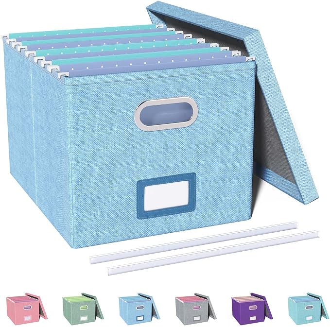 File Organizer, File Box, File Cabinet for Letter File Folder Storage, Portable Storage Bins with Lids for Office/Decor/Home,Document Organizer, 1 Pack,Sky-blue-Box Only by Oterri