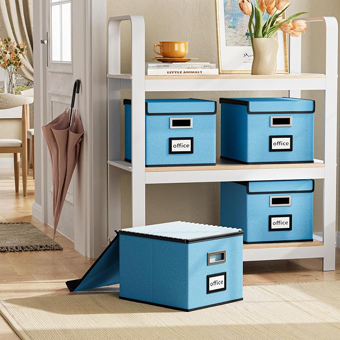 File Organizer Box with Lids, Collapsible File Folder Organizer | File Box with Plastic Slides for Office Document Storage, Filing Bin for Letter Size Hanging File Folders (1 Pack, Sky-blue) - Image 2