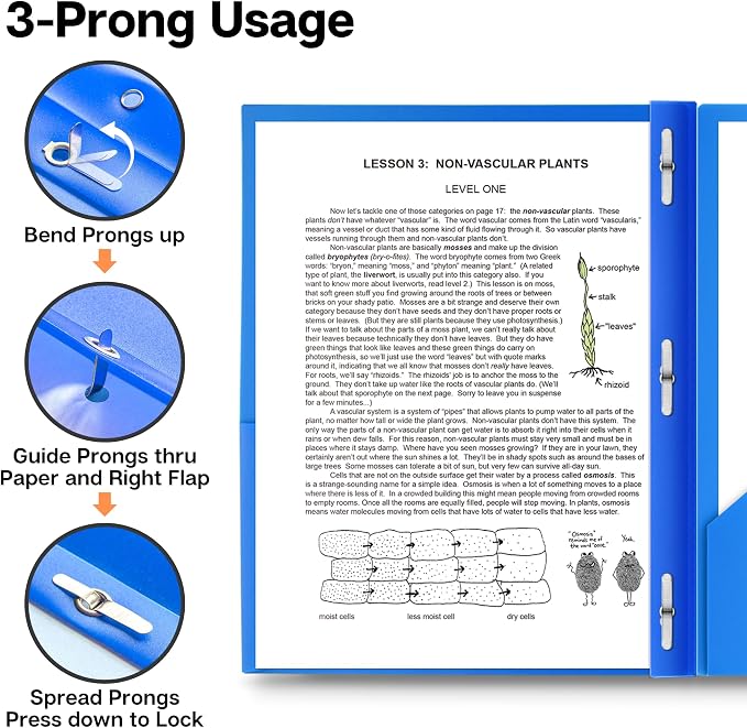 Dunwell Plastic Folders with 3 Prongs, (24 Pack, Blue), 2-Pocket Folders with Fasteners, Durable Acid-Free Poly for Long Term Use, Labels Included - Image 4