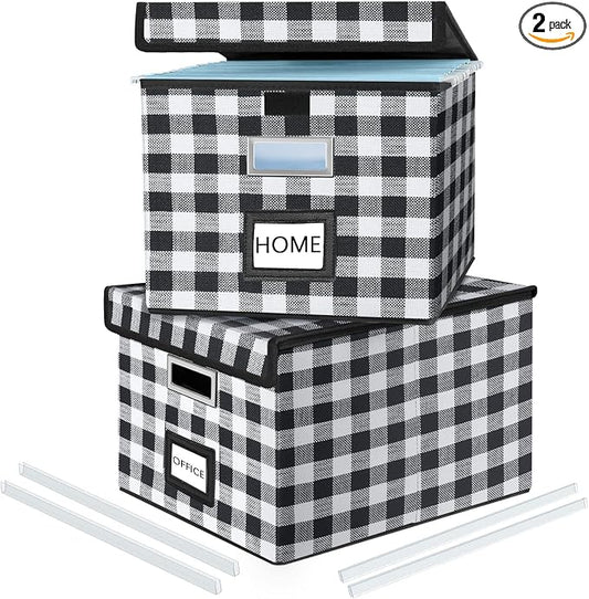 File Organizer Box with Lids, Collapsible File Folder Organizer | File Box with Plastic Slides for Document, Filing Bin for Letter Size Hanging File Folders (2 Pack, Black & White Lattice) by Huolewa