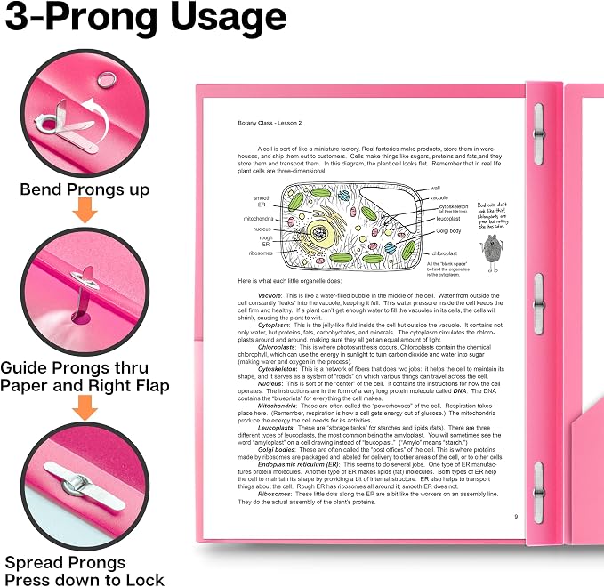 Dunwell Pastel 2-Pocket 3-Prong Folders, Plastic, 6 Pack, Labels | Aesthetic Color-Coded School Folders, Durable Plastic, Back to School Supplies - Image 6