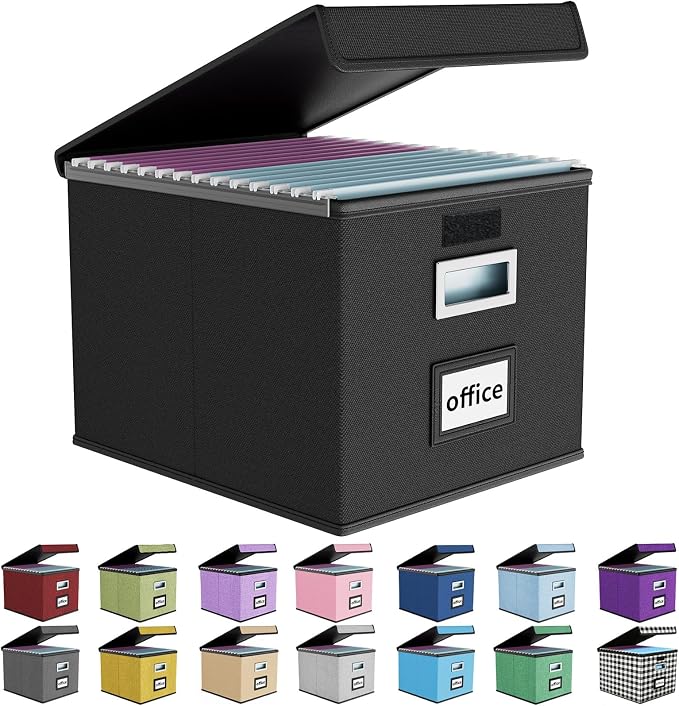 File Organizer Box with Lids, Collapsible File Folder Organizer | File Box with Plastic Slides for Office Document Storage, Filing Bin for Letter Size Hanging File Folders (1 Pack, Black) by Huolewa