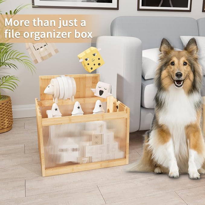 Bamboo Hanging File Organizer, Desk File Box with Lids, 1 Pack, Natural | Removable Lid, Clear Acrylic Side Panels, 2 Hanging Folders Included, Helps Reduce Dust, Letter & Legal Size, Easy Assembly - Image 6